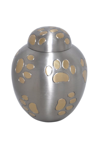 Silver Dome Top with Golden Paws Urn