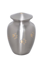 Silver with Gold Paws Around Pet Urn