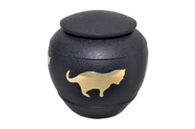 Black with Gold Cat Urn