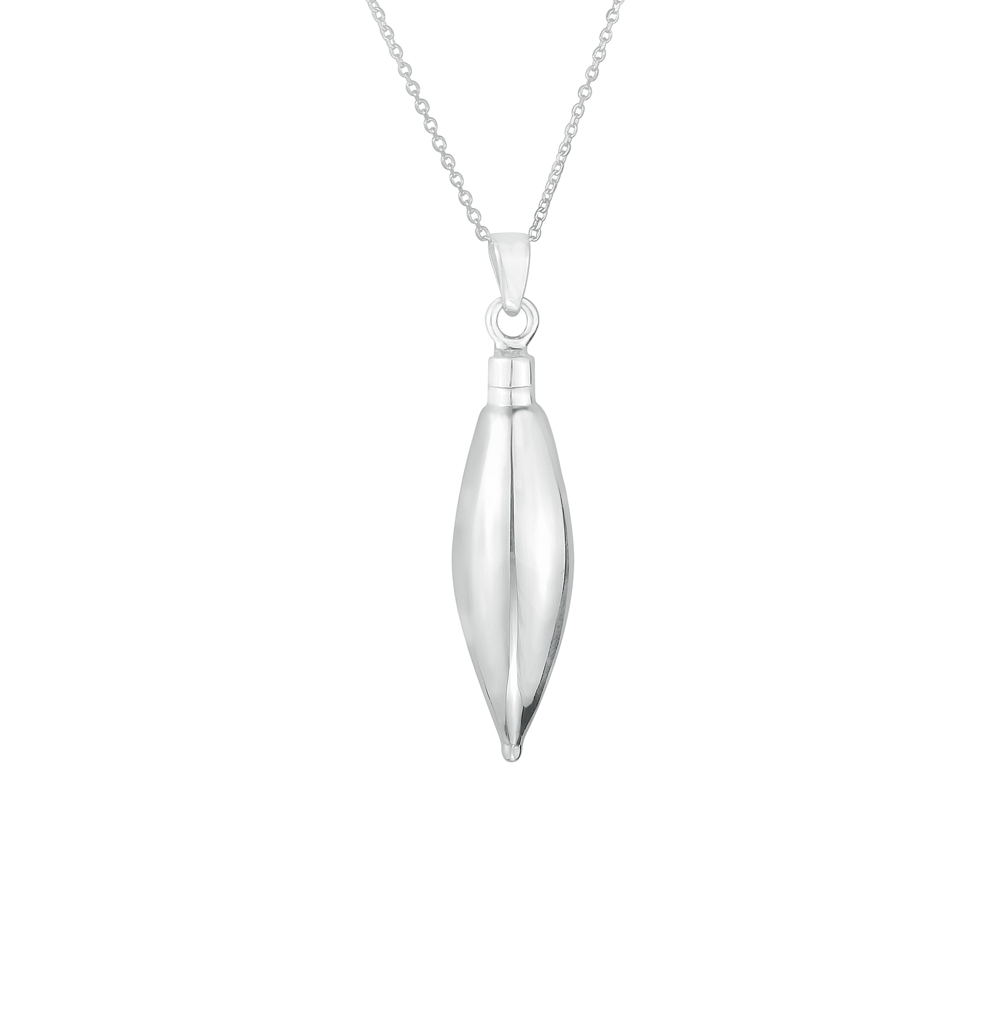 Stainless Steel Teardrop Cremation Iurn Pendant Necklace Pet Bird Ashes  Souvenir Guitar Pick Necklace For Hair Keepake And Ashes From  Weikuijewelry, $2.01 | DHgate.Com
